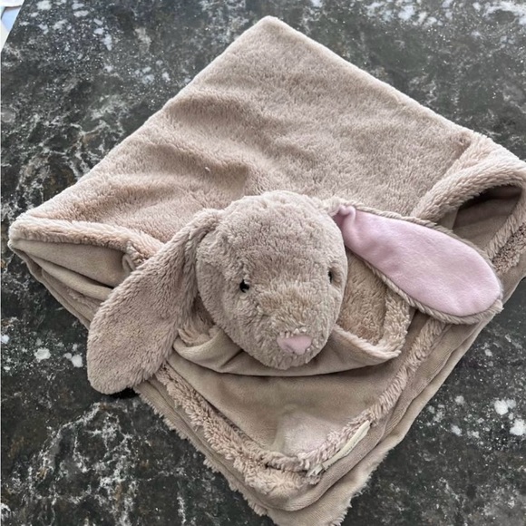 Pottery Barn Kids Plush Bunny Blanket - Picture 1 of 4